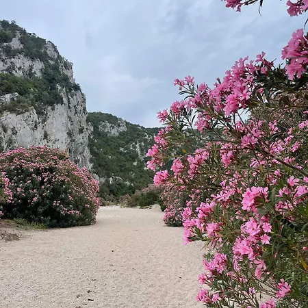 Sa Troppa De Sos Chentu Dorgali