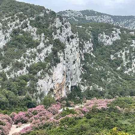 Sa Troppa De Sos Chentu * Dorgali