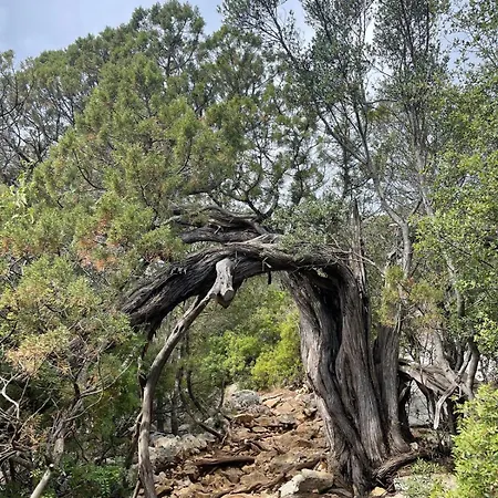 Gasthuis Sa Troppa De Sos Chentu Dorgali